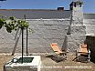 ulivo