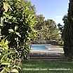 The Pool