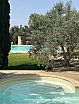 The Pool