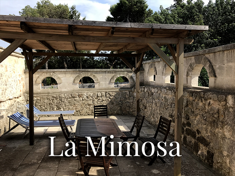 La Mimosa